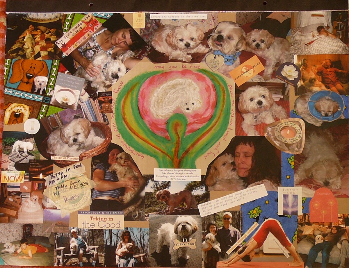 Teddy Bear: In&nbsp;Memoriam