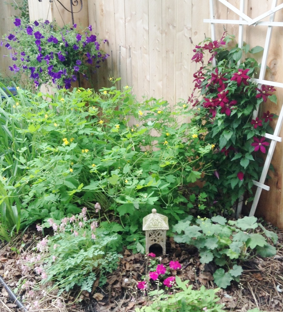 life practices: summer solstice&nbsp;2014