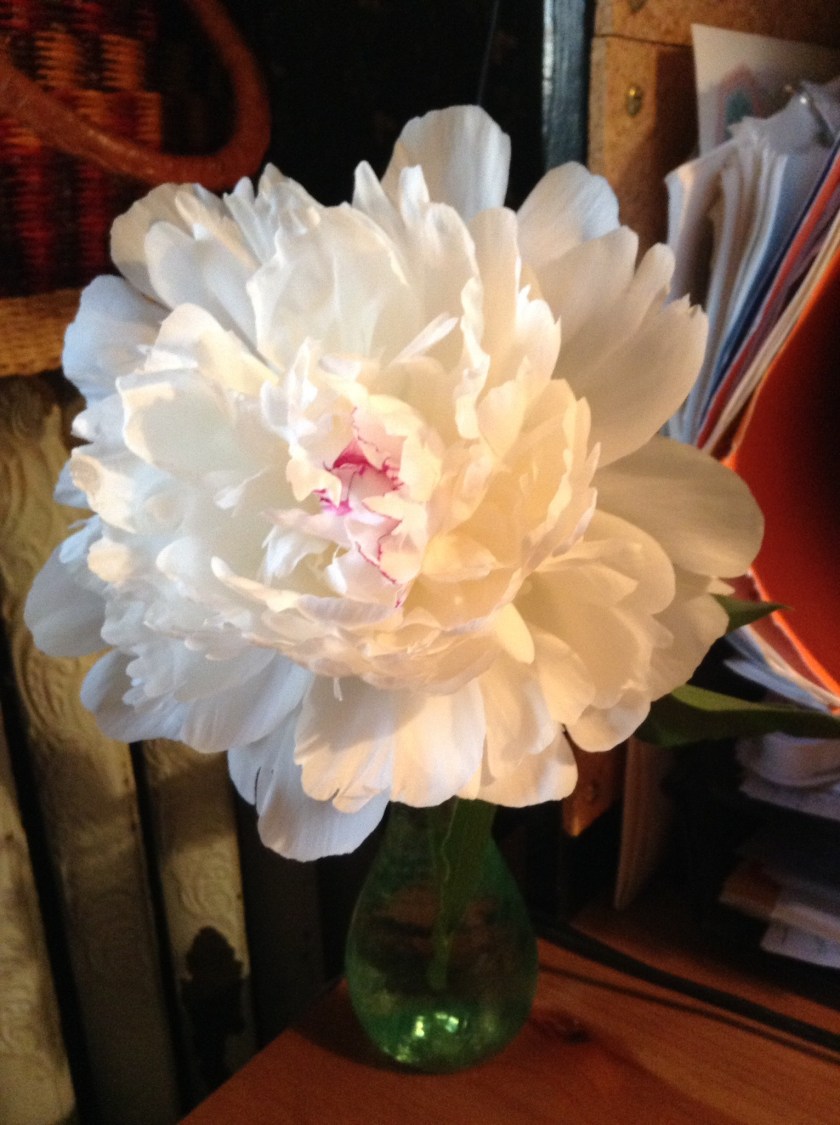 peony