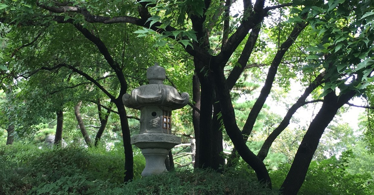 the heart doesn’t&nbsp;try