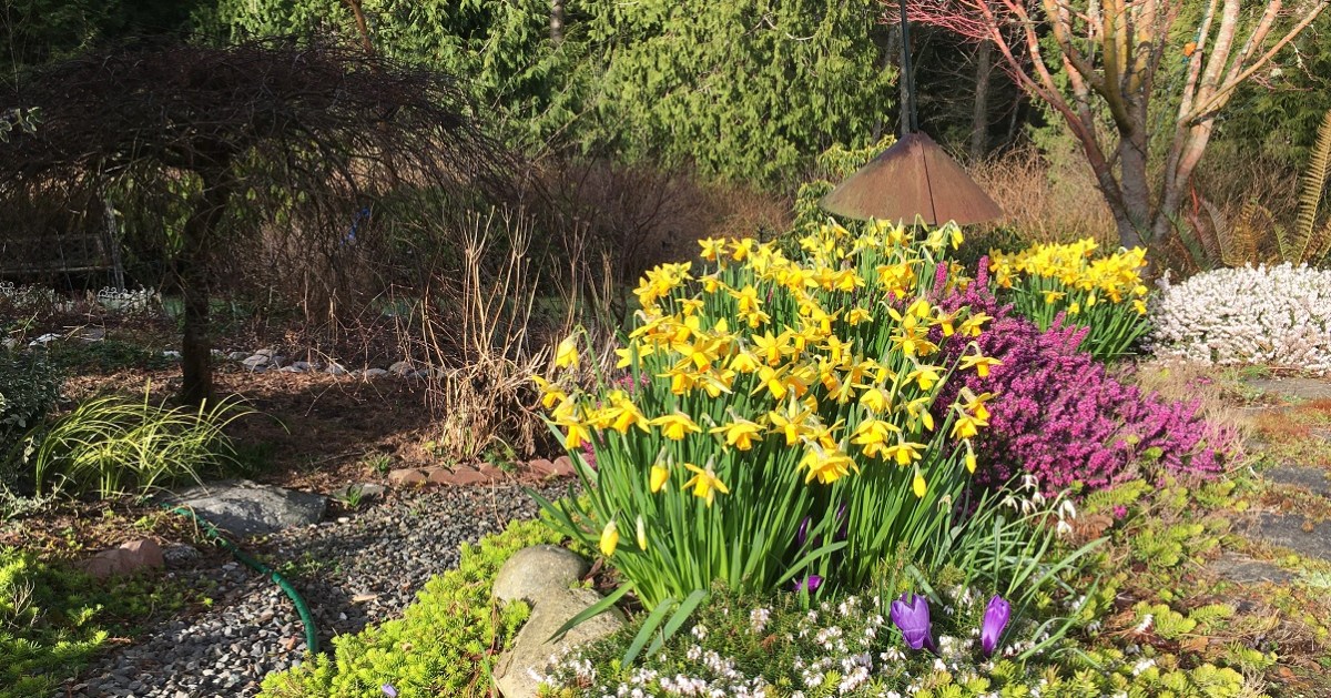 Spring Equinox–Balancing