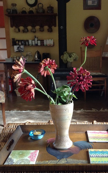 what are you&nbsp;harvesting?