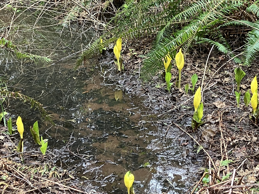 Spring Equinox 2025: In the&nbsp;Muck